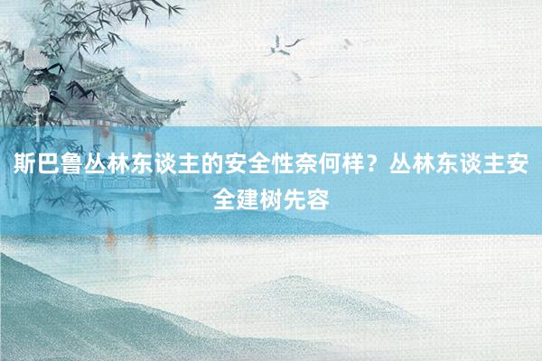 斯巴鲁丛林东谈主的安全性奈何样？丛林东谈主安全建树先容